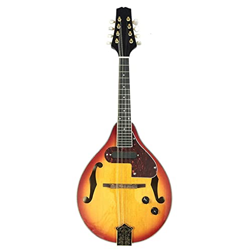 マンドリン」の人気商品一覧 | 安い商品を通販サイトから探す - 価格.com